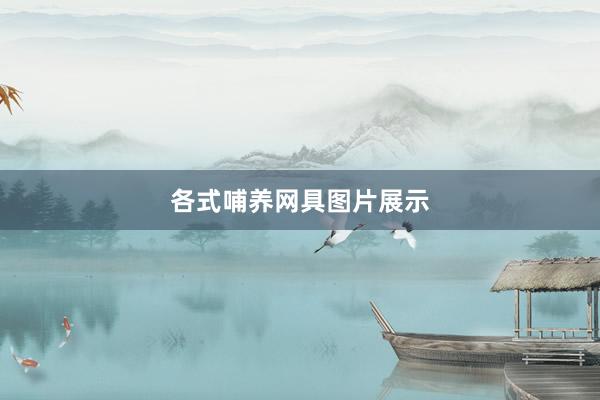 各式哺养网具图片展示